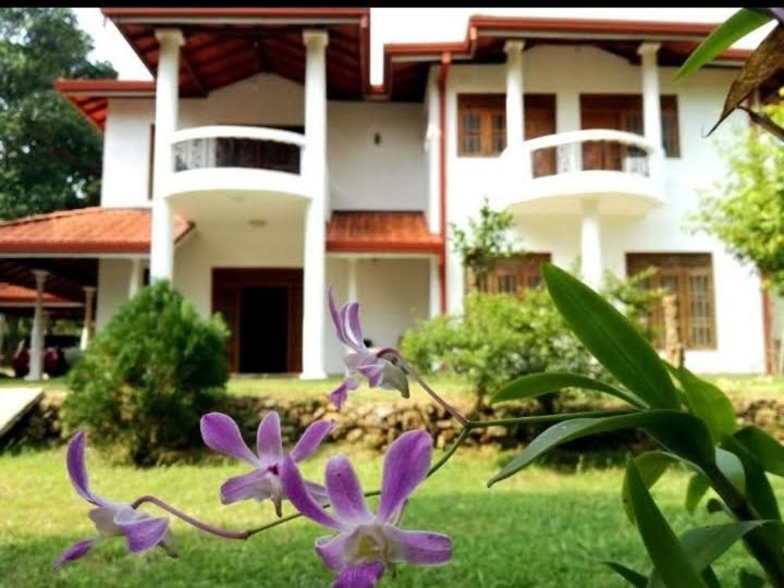 Blue Point Rest Tangalle Exterior foto